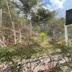 Foto 26-08-2025, 14 51 18