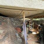 Foto 26-08-2025, 14 55 56