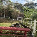 Foto 26-08-2025, 14 59 03