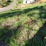 WhatsApp Image 2025-09-19 at 13.47.49 (2)